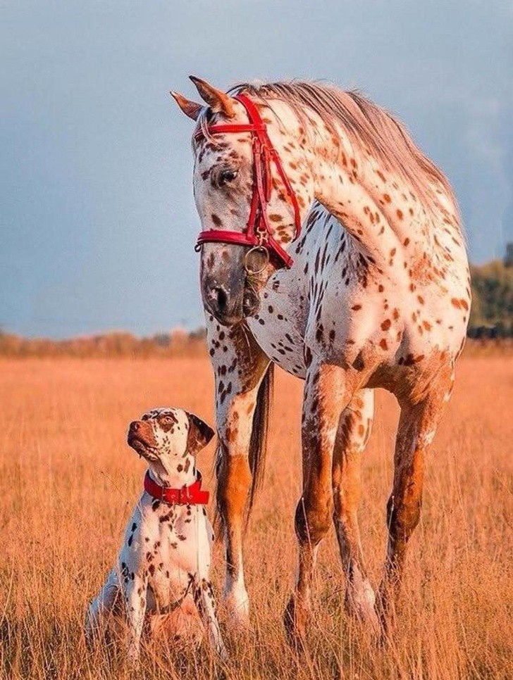 Nature made these animals one of a kind