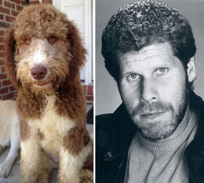 Animals who look freakily like famous celebrities