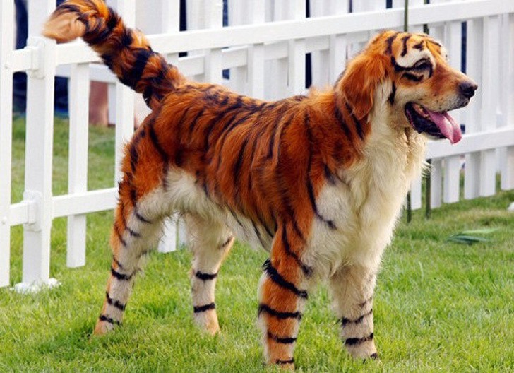 Nature made these animals one of a kind