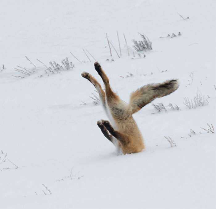 Tough day at the Office