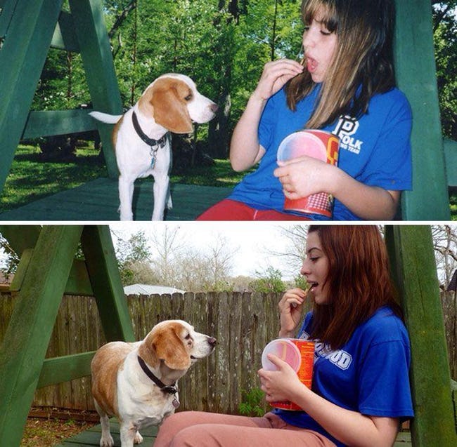 Adorable Before-And-After Photos Of Dogs And Their Owners Growing Together
