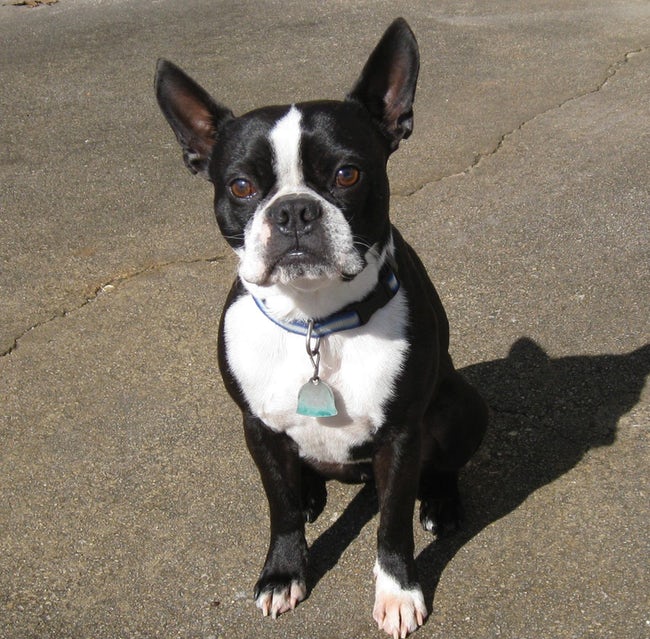 Tyson