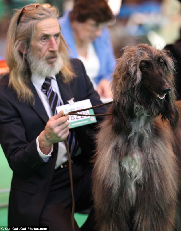 These Pets Are Basically Clones of Their Owners