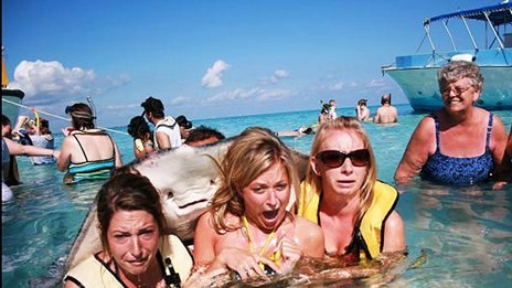 Pictures of Funniest animal attacks on humans