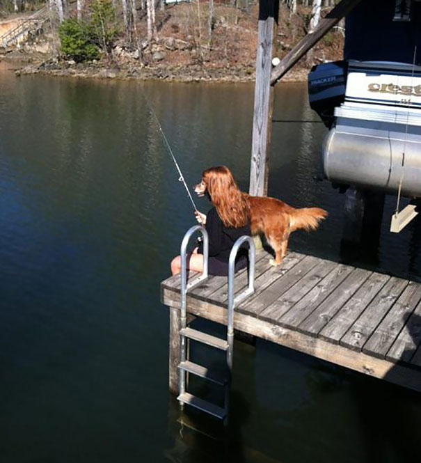 Perfectly Timed Dog Pictures