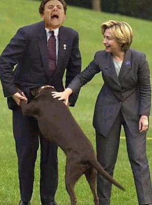 Pictures of Funniest animal attacks on humans