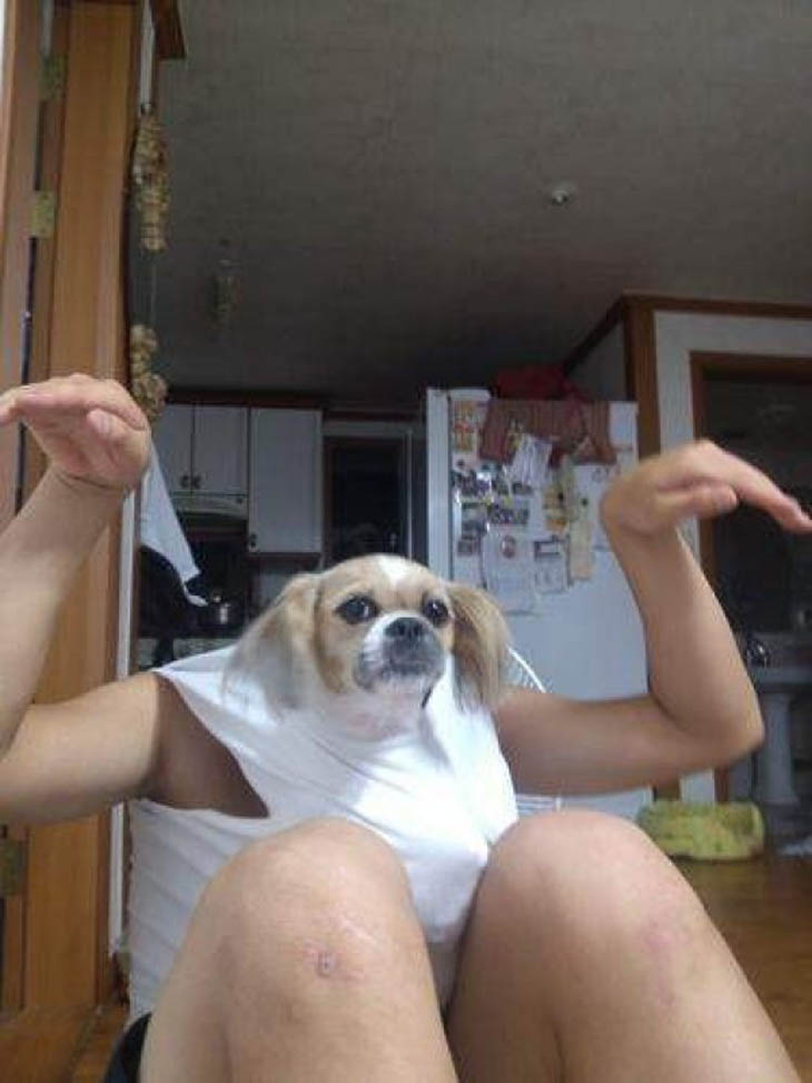Perfectly Timed Dog Pictures