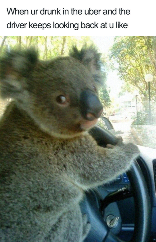 drunk driver