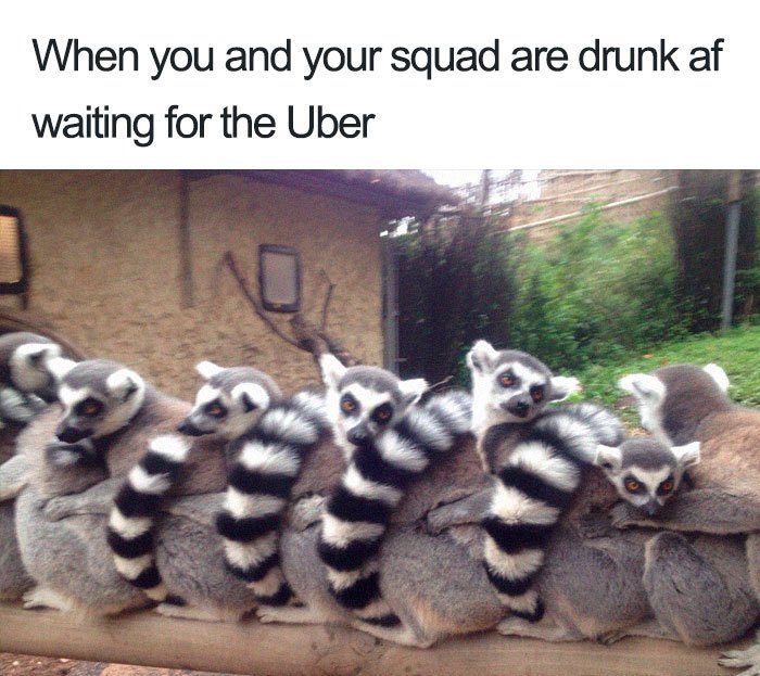 squad
