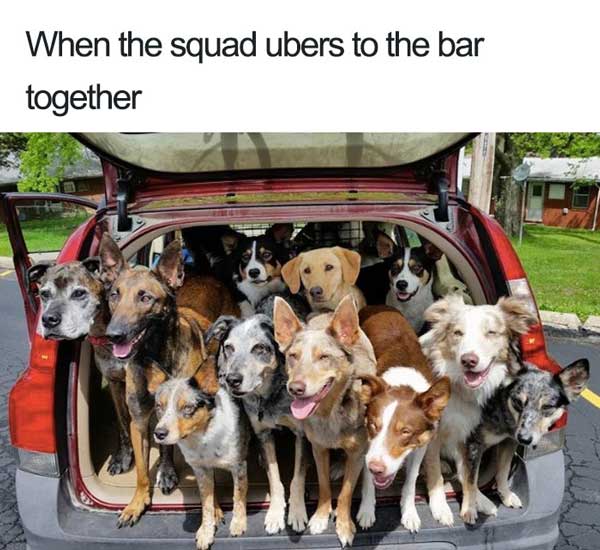 ubers to the bar