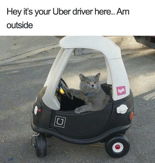 uber driver here
