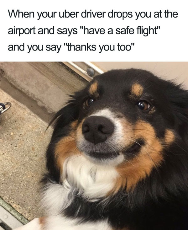 safe flight