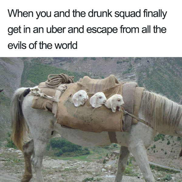 drunk squad