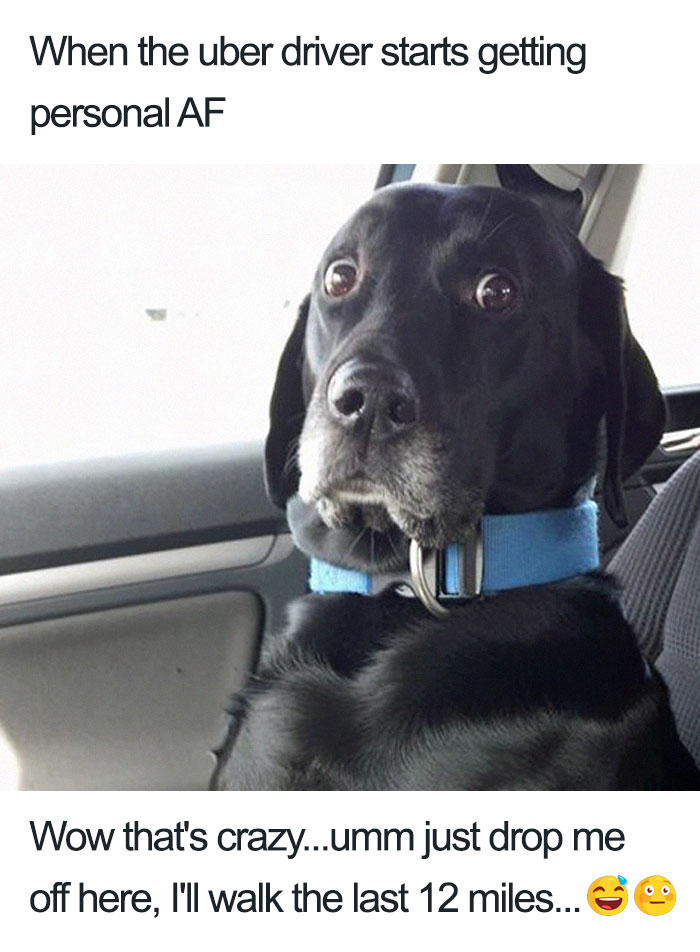 uber driver
