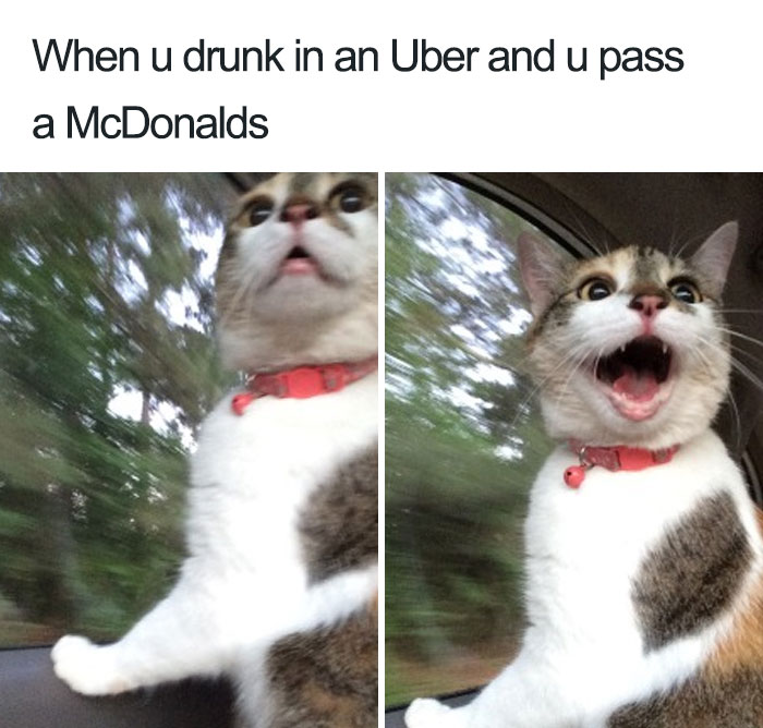 drunk