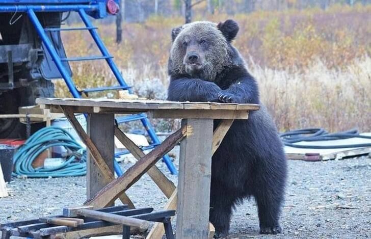 Animals that will make you reconsider your view of evolution