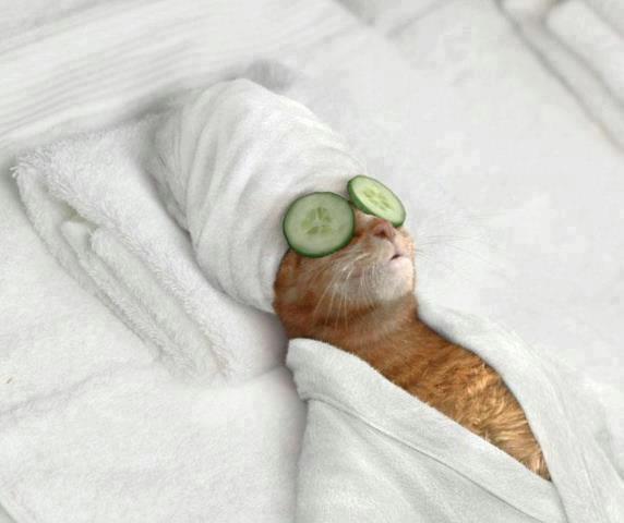 Spa day