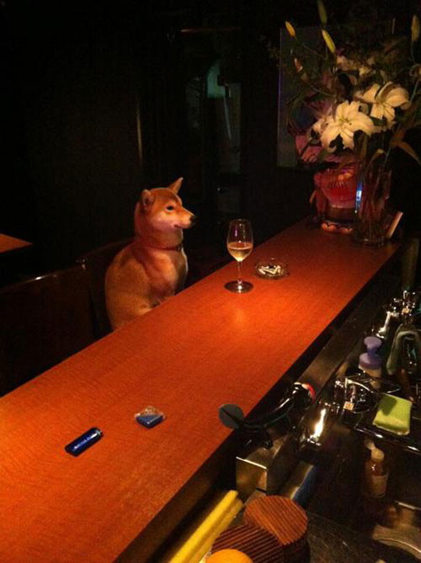 Alone at bar