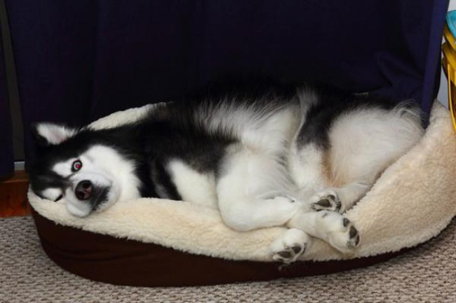 asleep
