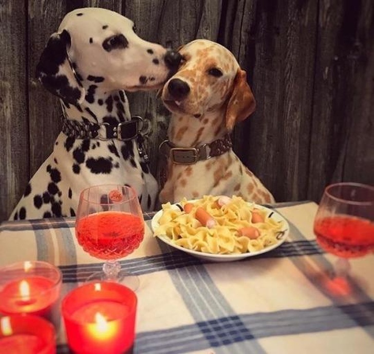 Best date ever