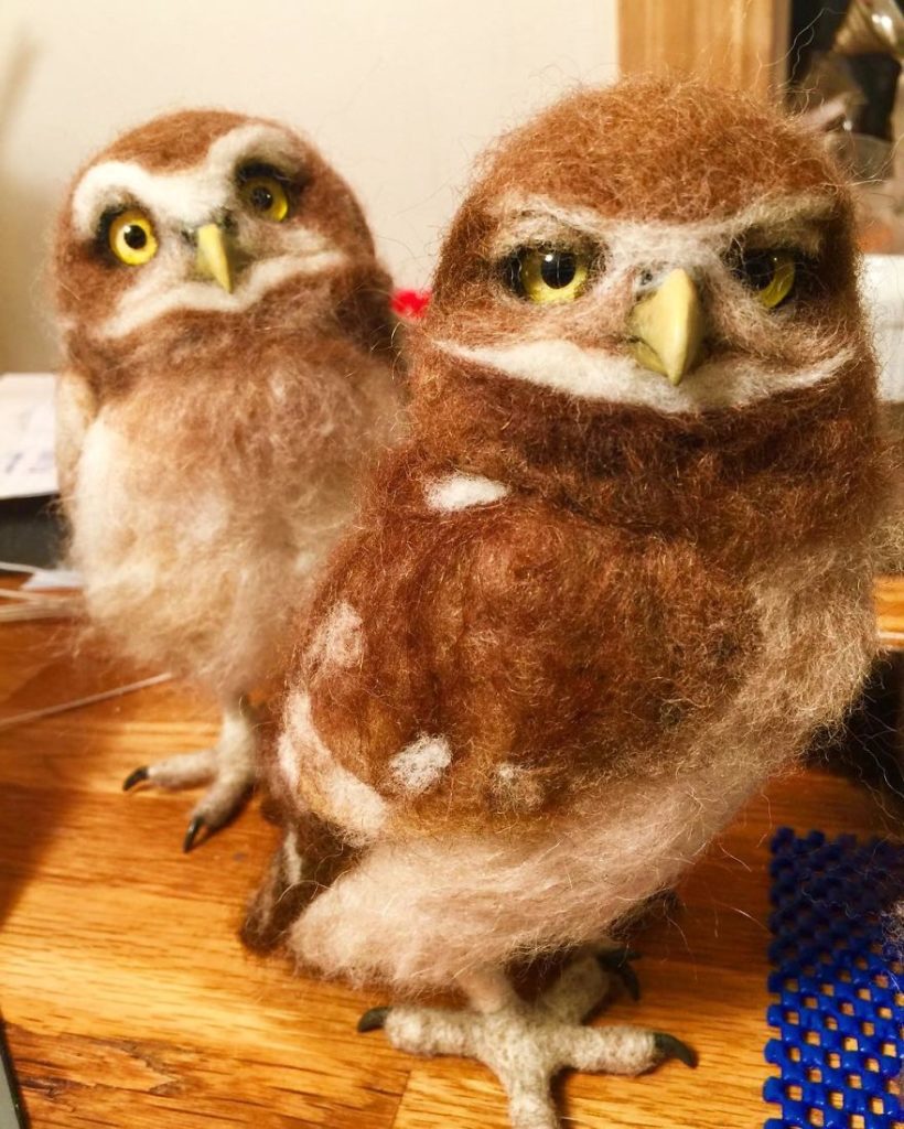 Burrowing Owls