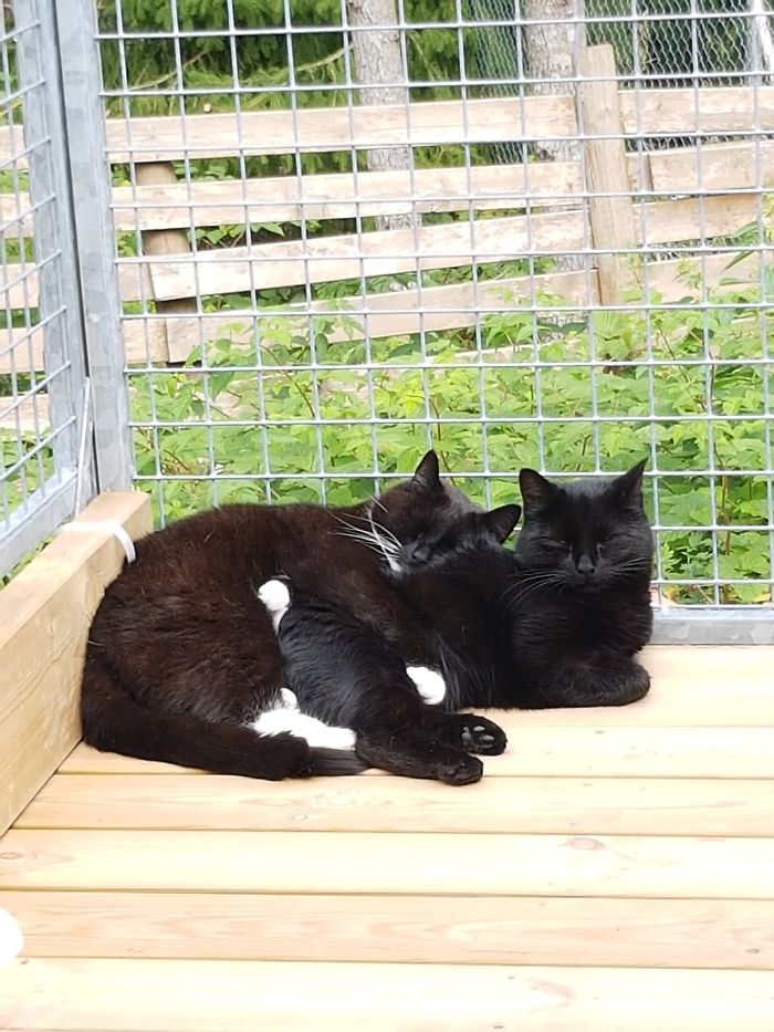 15 Adorable Reasons ‘Why I Hate My Job’