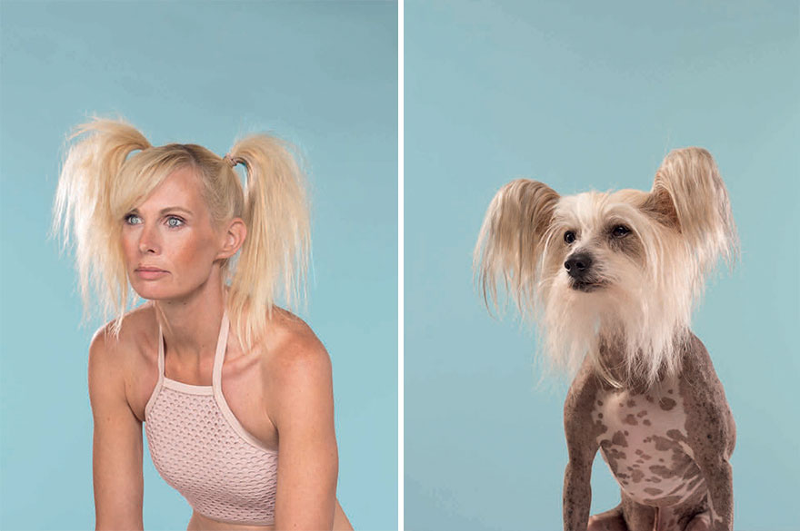 Chinese Crested