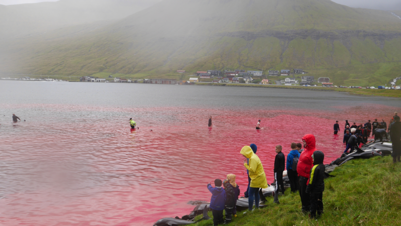 Faroe Islands