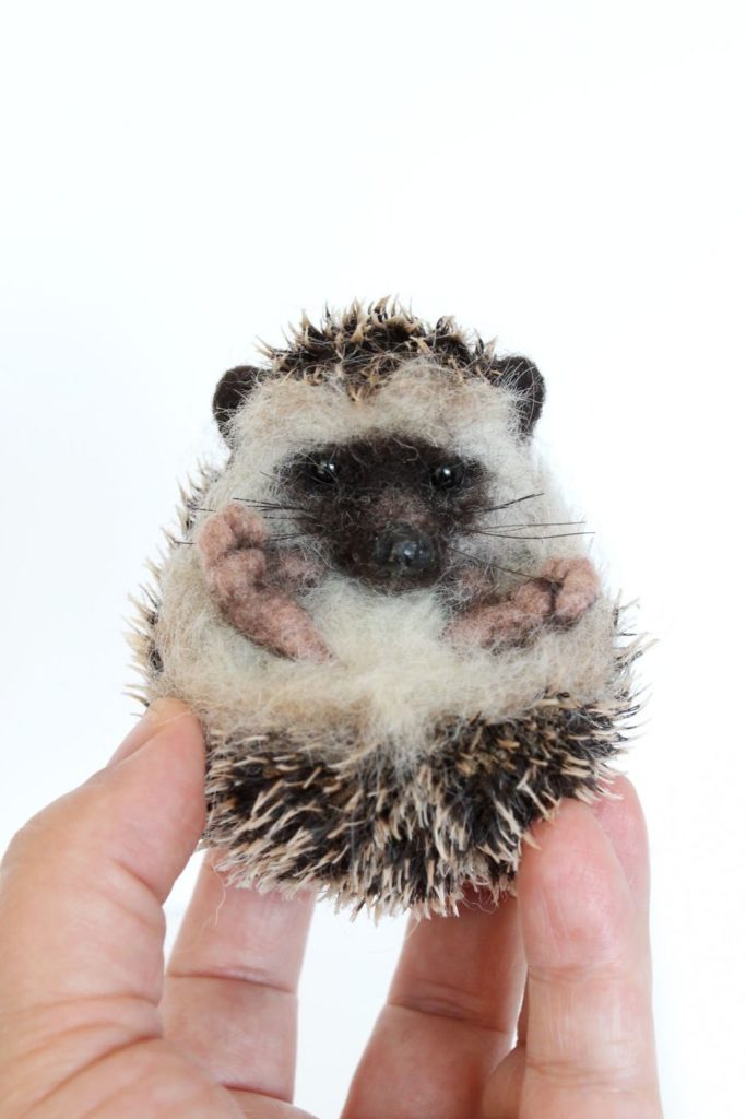 Hedgehog