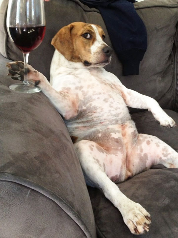red wine