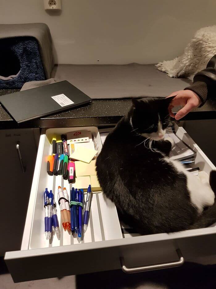 15 Adorable Reasons ‘Why I Hate My Job’