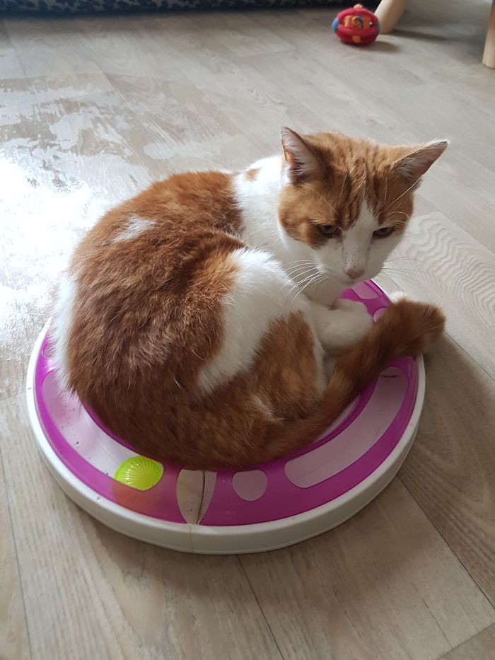 15 Adorable Reasons ‘Why I Hate My Job’