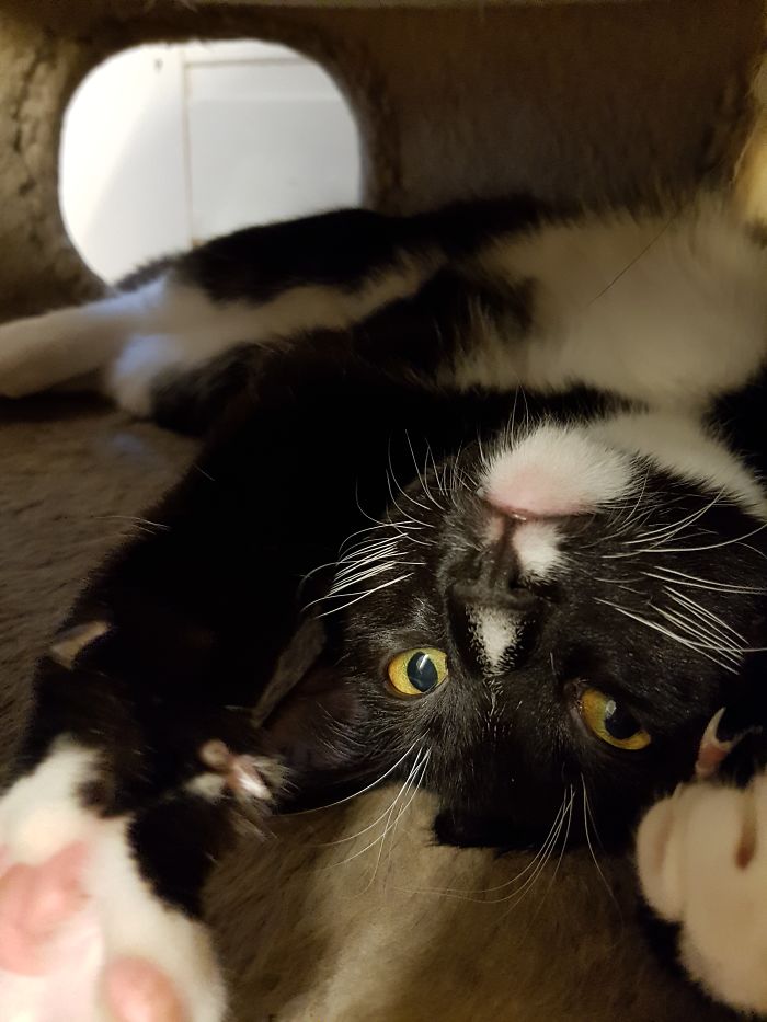 15 Adorable Reasons ‘Why I Hate My Job’