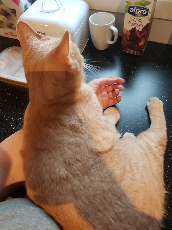 15 Adorable Reasons ‘Why I Hate My Job’