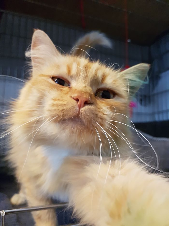 15 Adorable Reasons ‘Why I Hate My Job’