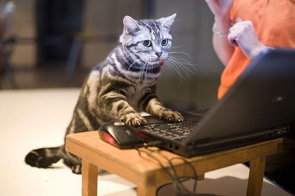 Facebook account