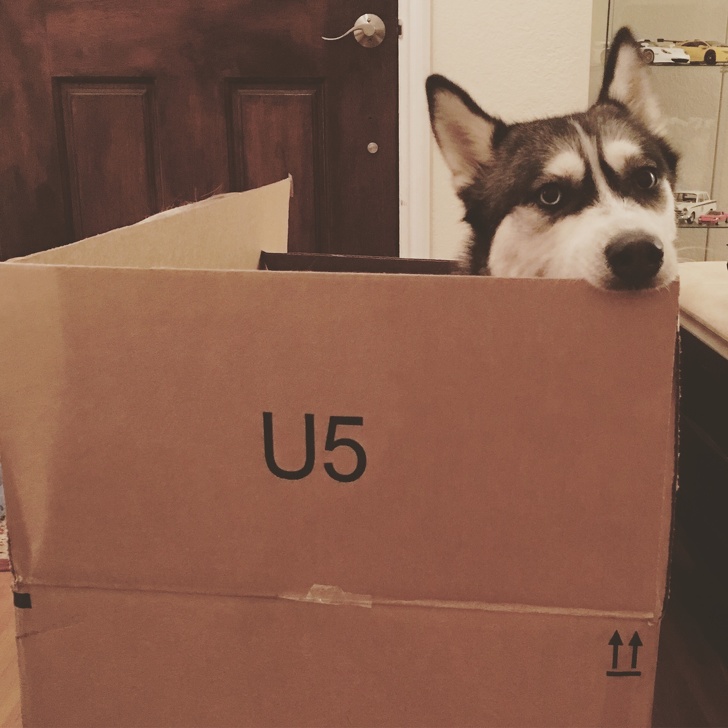 boxes