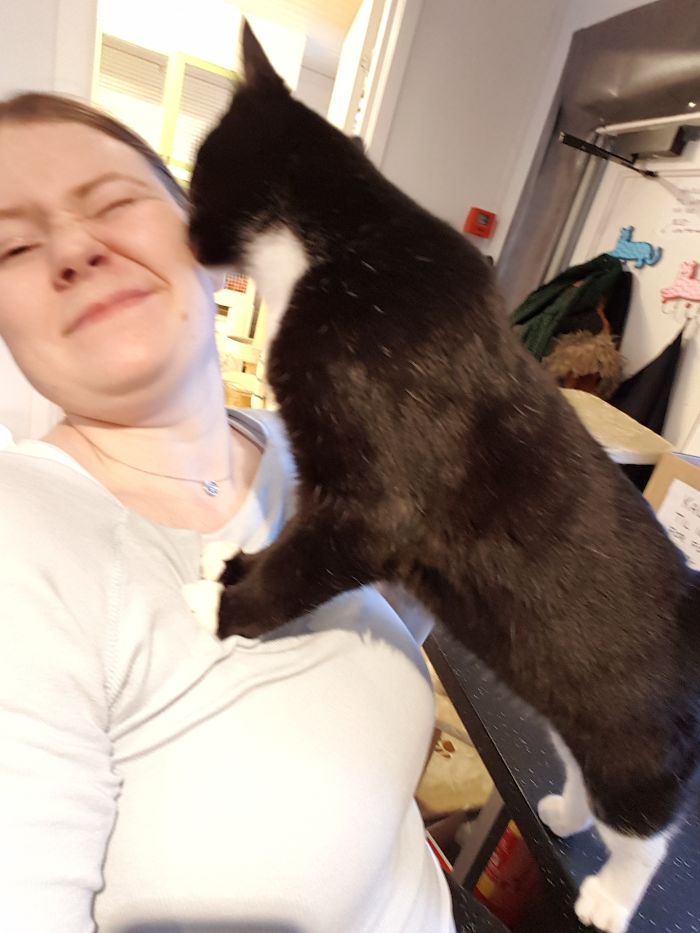 15 Adorable Reasons ‘Why I Hate My Job’