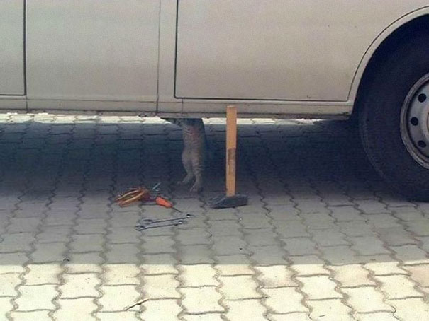 hell of a mechanic