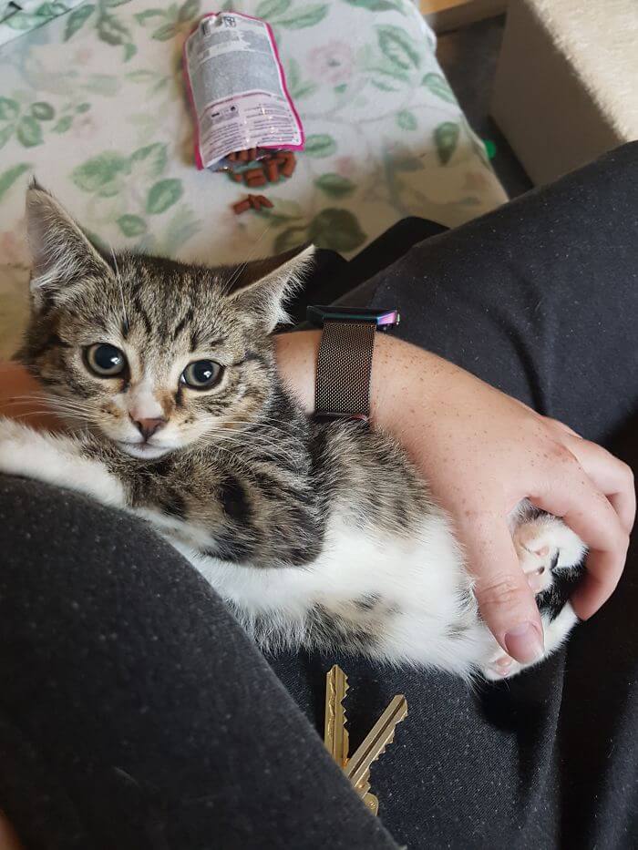 15 Adorable Reasons ‘Why I Hate My Job’