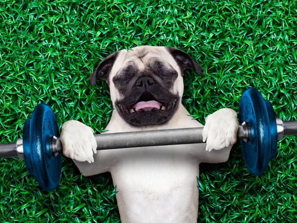 stay fit