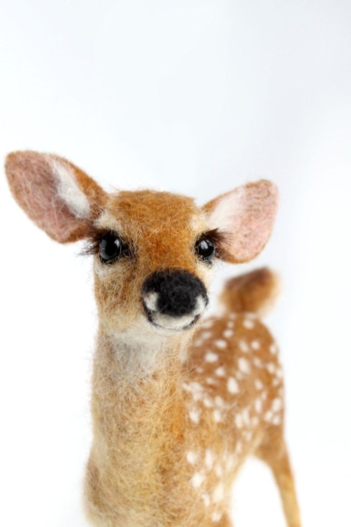 Whitetail Fawn