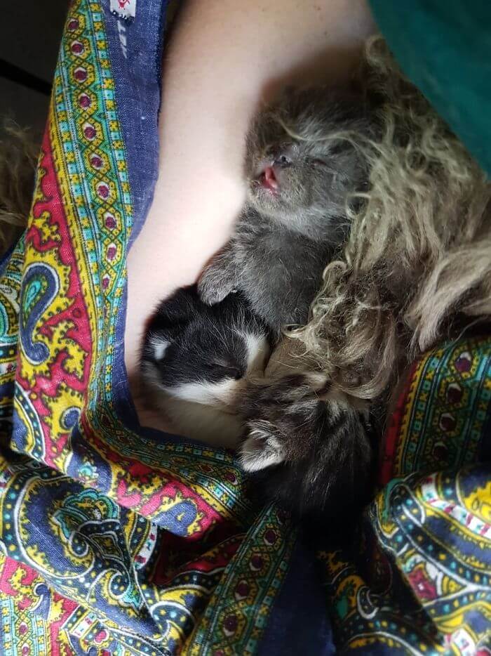 15 Adorable Reasons ‘Why I Hate My Job’