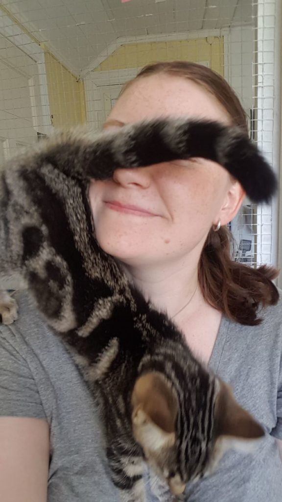 15 Adorable Reasons ‘Why I Hate My Job’