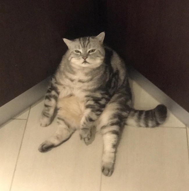 clearly seems dissatisfied