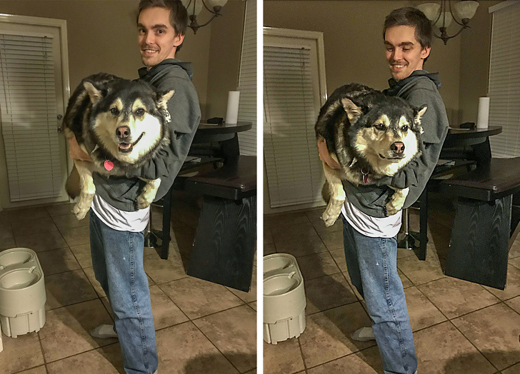 Husky before and after