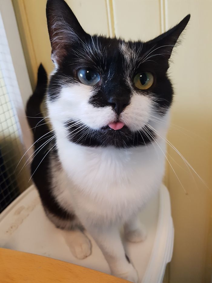 15 Adorable Reasons ‘Why I Hate My Job’