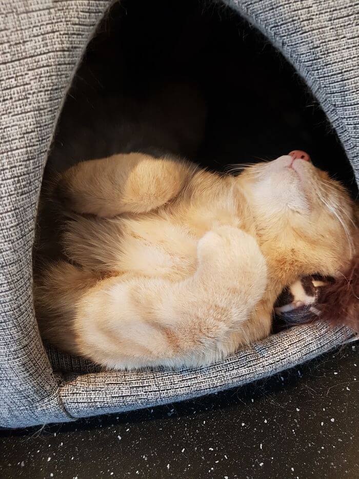 15 Adorable Reasons ‘Why I Hate My Job’