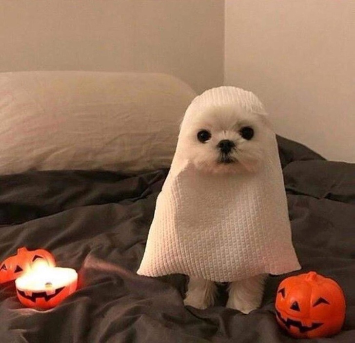 Casper for Halloween