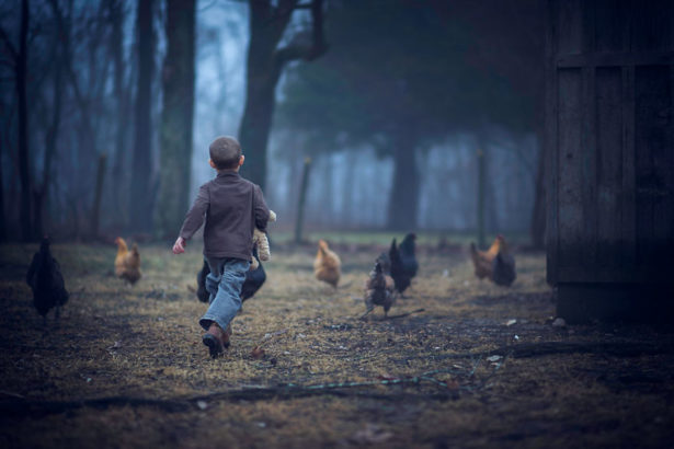 Cutest pictures of Kids and Barnyard animals together - Luve Ur Pet